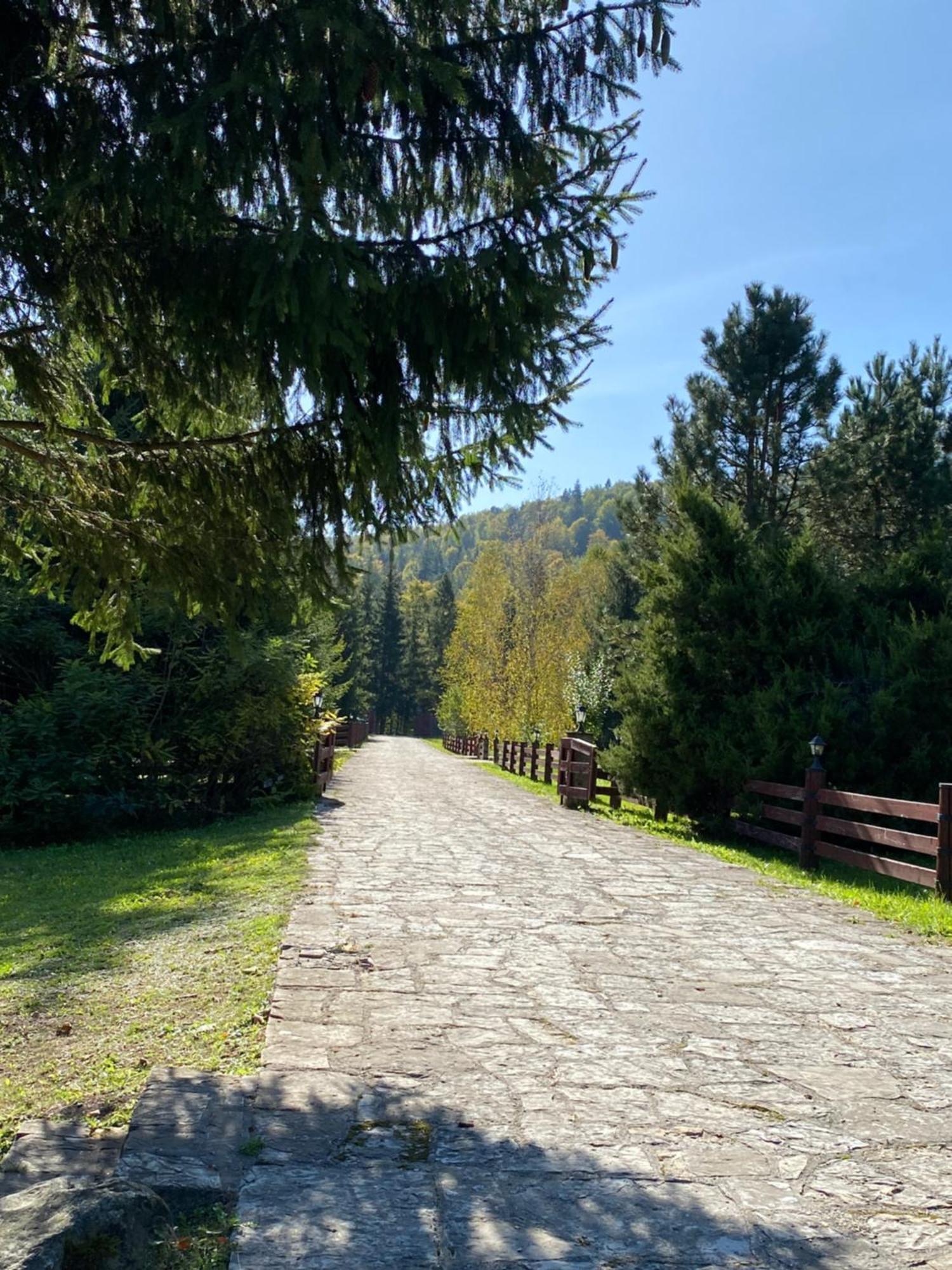 Relaxation In Guta Гута Покращене Шале Εξωτερικό φωτογραφία