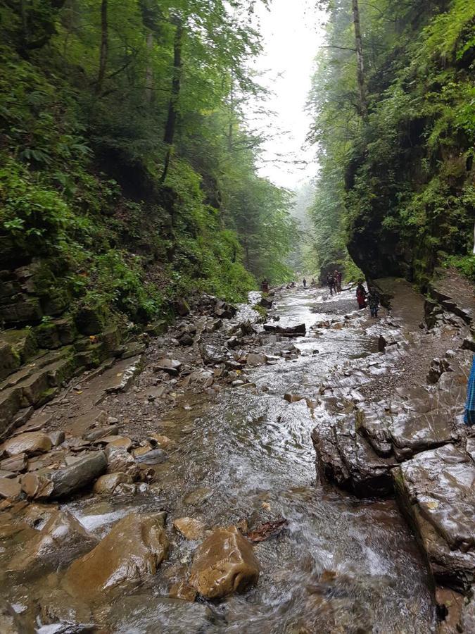 Relaxation In Guta Гута Покращене Шале Εξωτερικό φωτογραφία